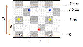 chroma12 chroma12.gif