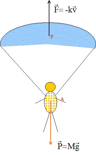 newton14 newton14.gif
