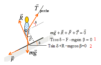 ski13.gif